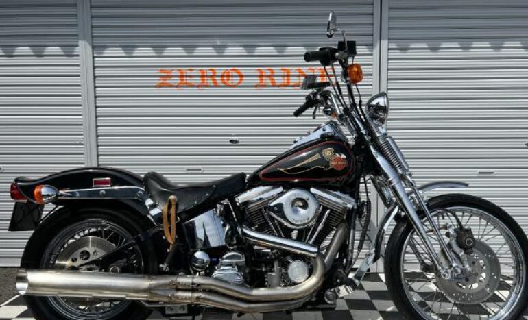 ＨＡＲＬＥＹ−ＤＡＶＩＤＳＯＮ ＦＸＳＴＳ　スプリンガーソフテイル　純正スタイル　社外マフラー　Ｅキャブ　ＥＴＣ取り付け 